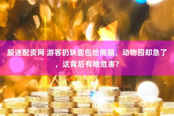 股迷配资网 游客扔块面包给熊猫，动物园却急了，这背后有啥危害？