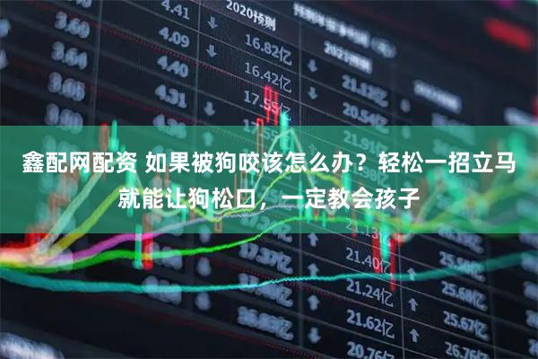 鑫配网配资 如果被狗咬该怎么办？轻松一招立马就能让狗松口，一定教会孩子