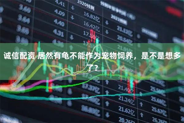 诚信配资 居然有龟不能作为宠物饲养，是不是想多了？