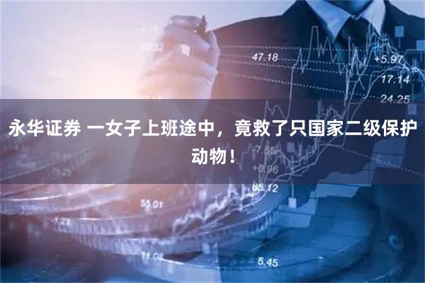 永华证券 一女子上班途中，竟救了只国家二级保护动物！