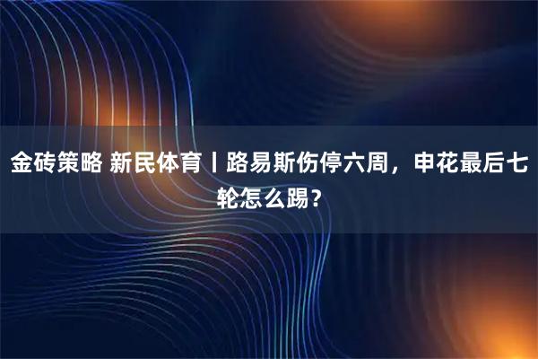 金砖策略 新民体育丨路易斯伤停六周，申花最后七轮怎么踢？