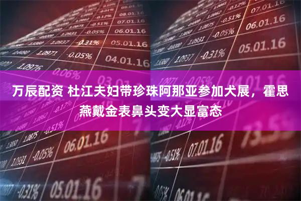 万辰配资 杜江夫妇带珍珠阿那亚参加犬展，霍思燕戴金表鼻头变大显富态