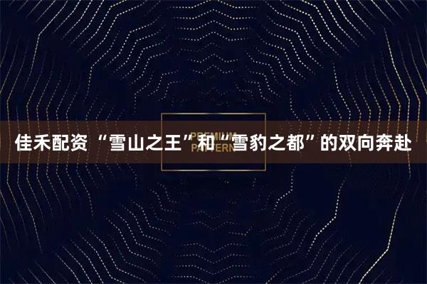 佳禾配资 “雪山之王”和“雪豹之都”的双向奔赴