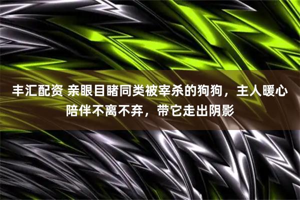 丰汇配资 亲眼目睹同类被宰杀的狗狗，主人暖心陪伴不离不弃，带它走出阴影