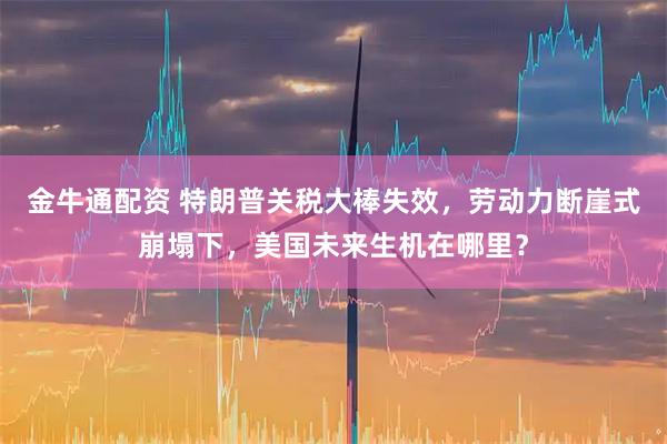 金牛通配资 特朗普关税大棒失效，劳动力断崖式崩塌下，美国未来生机在哪里？